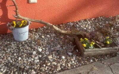 Der Frühling zieht ein